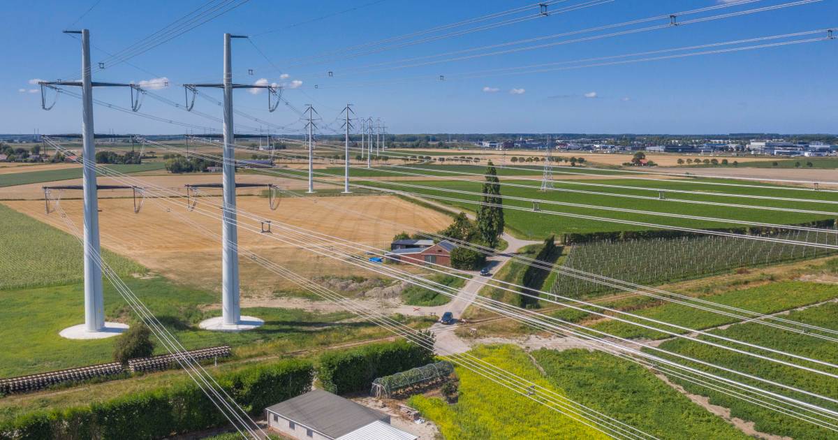 Plan voor nóg een elektriciteitslijn door Zuid-Beveland: ‘We zien door de masten het landschap niet 