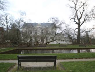 Vooruit wil ‘corona-koesterplek’ maken in Tiens stadspark