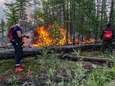 Ook Rusland kampt met bosbranden: 3 miljoen hectare in de as
