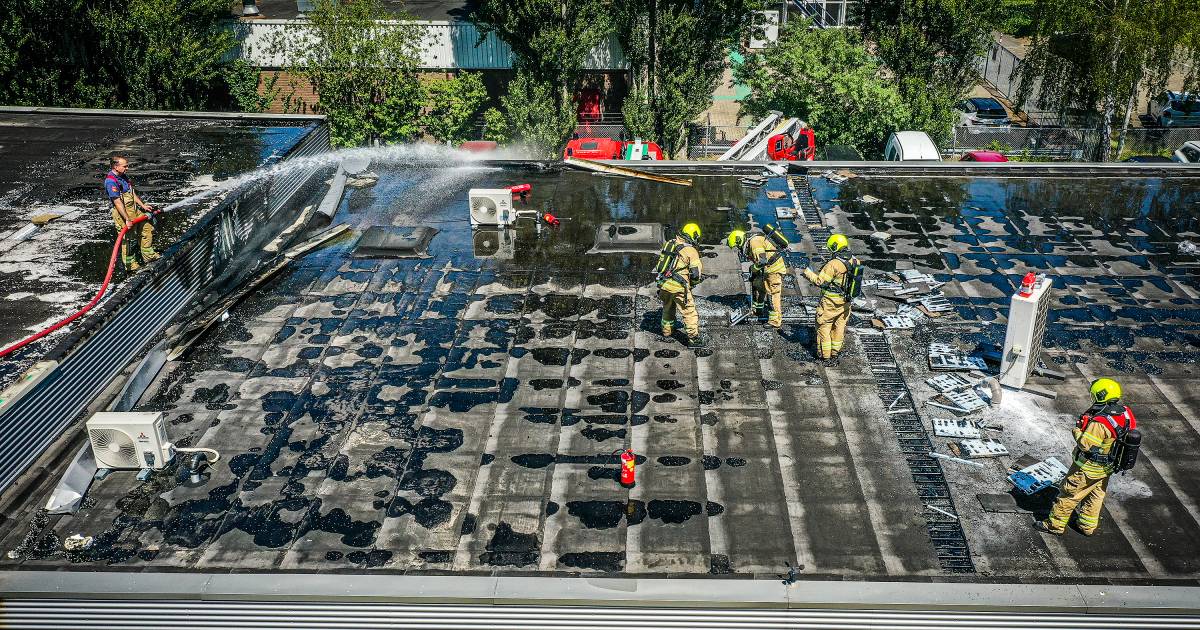 Grote brand in loods op Zwijndrechts industrieterrein.