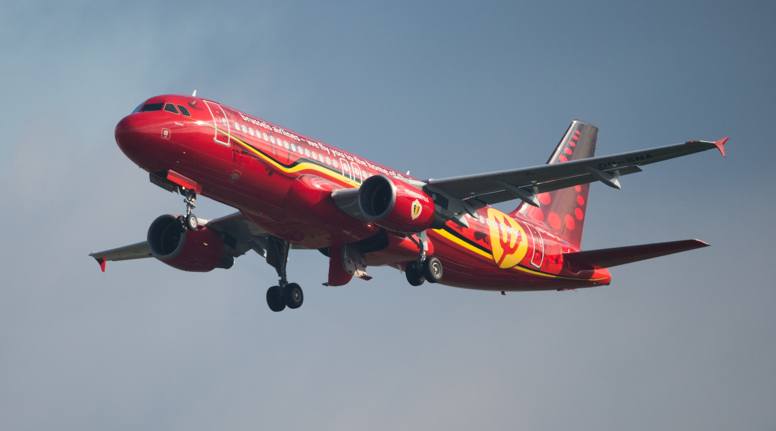 Votre photo sur l'avion des Diables Rouges? C'est possible | Foto ...