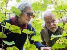 Wolfslaar Moet Landgoed Met Allure Worden Breda Bndestem Nl