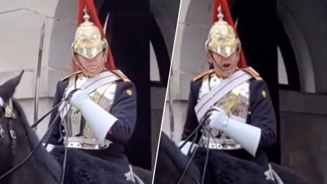 Beelden tonen hoe Queen’s Guard woedend naar toerist schreeuwt: “Blijf uit de buurt!”