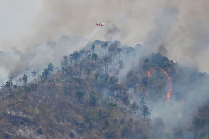 Beeld van de bosbrand in de noordoostelijke provincie Nakhon Nayok.