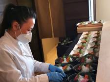 Japans eten is er genoeg, maar echt luxe steeds minder