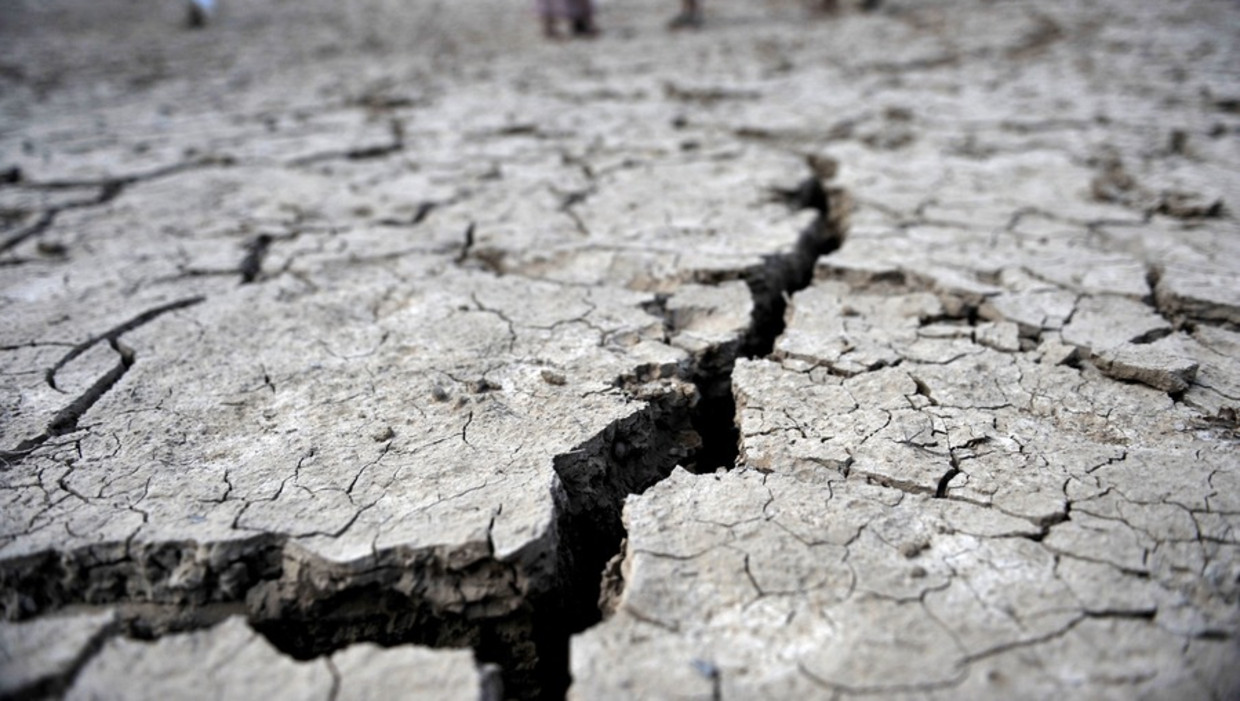 Door droogte gebarste aarde. Beeld epa