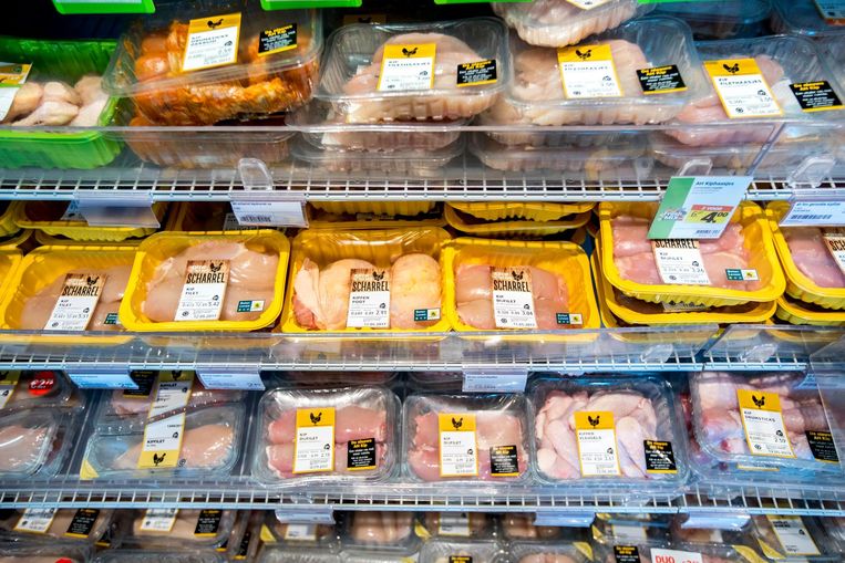 Kippenvlees in de koeling van supermarktketen Albert Heijn.  Beeld anp