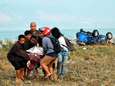 Zeker 48 doden door tsunami op Indonesisch eiland Sulawesi<br>