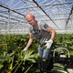 Westland verhit als het gaat over arbeidsmigranten. ‘Hoe gek zijn wij in Nederland geworden?’