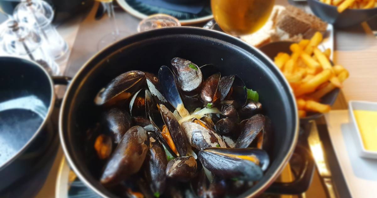 PROMO FIGHTERS SUPER TIP.  Supermarkets are waging a mussel war: You have to go to this store for the cheapest mussels |  Money