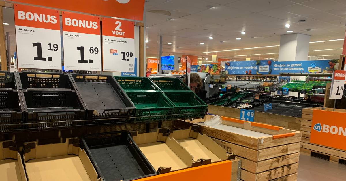 Topman moederbedrijf Albert Heijn bijt van zich af: ‘Winsten in Europa staan juist onder druk, kijk naar de feiten’