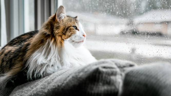 In Lokeren zware regen en redelijk helder weer vanochtend