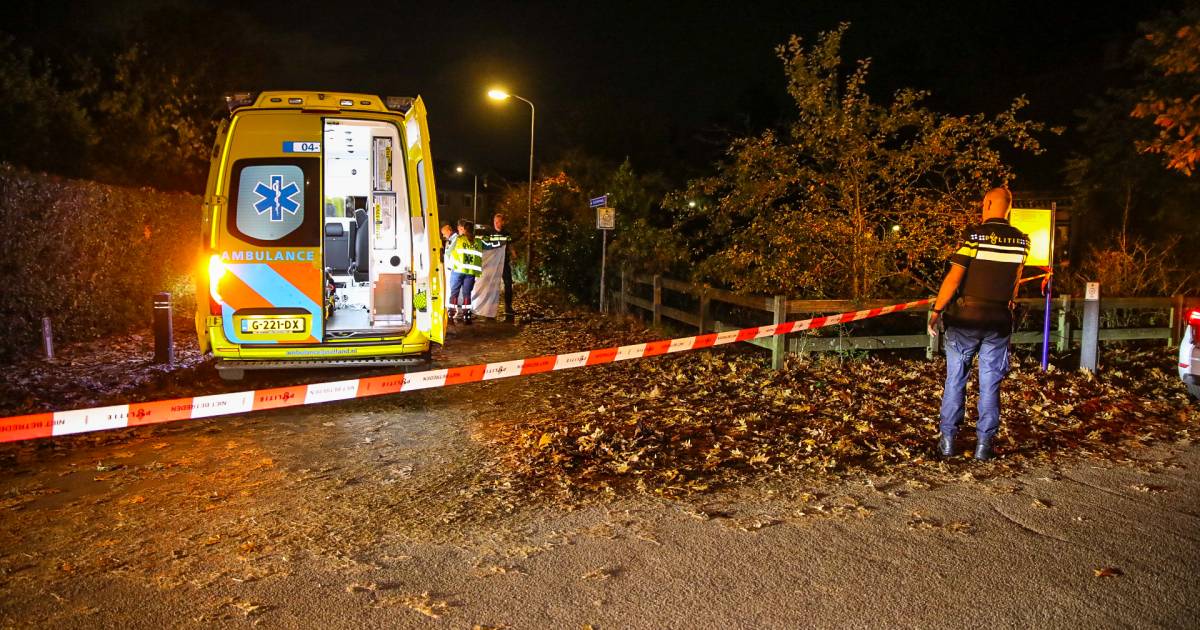 Man overleden na ernstig ongeluk met step, automobiliste had te veel gedronken.