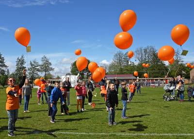 Rhenen gaat voor ballonnenverbod