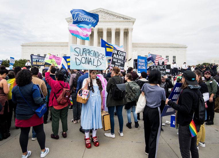 Een betoger verkleed als Dorothy uit The Wizard of Oz tijdens een ­protest tegen lhbti-discriminatie voor het Hooggerechtshof, 2019. Beeld Getty