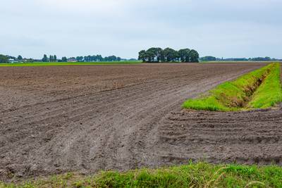 Vergunning zonnepark Wouw opnieuw blokkeren wordt lastig, verwacht gemeente Roosendaal