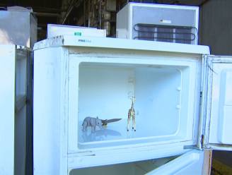 Primeur in speelgoedland: deze Playmobil-figuurtjes worden gemaakt van het plastic van oude koelkasten