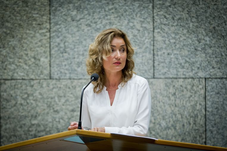 Tien procent van het geld dat nu wordt besteed aan drugsbestrijding zou moeten gaan naar de zorg voor drugsgebruikers, stellen Vera Bergkamp (D66, foto) en Marit Volp (PvdA). Beeld anp