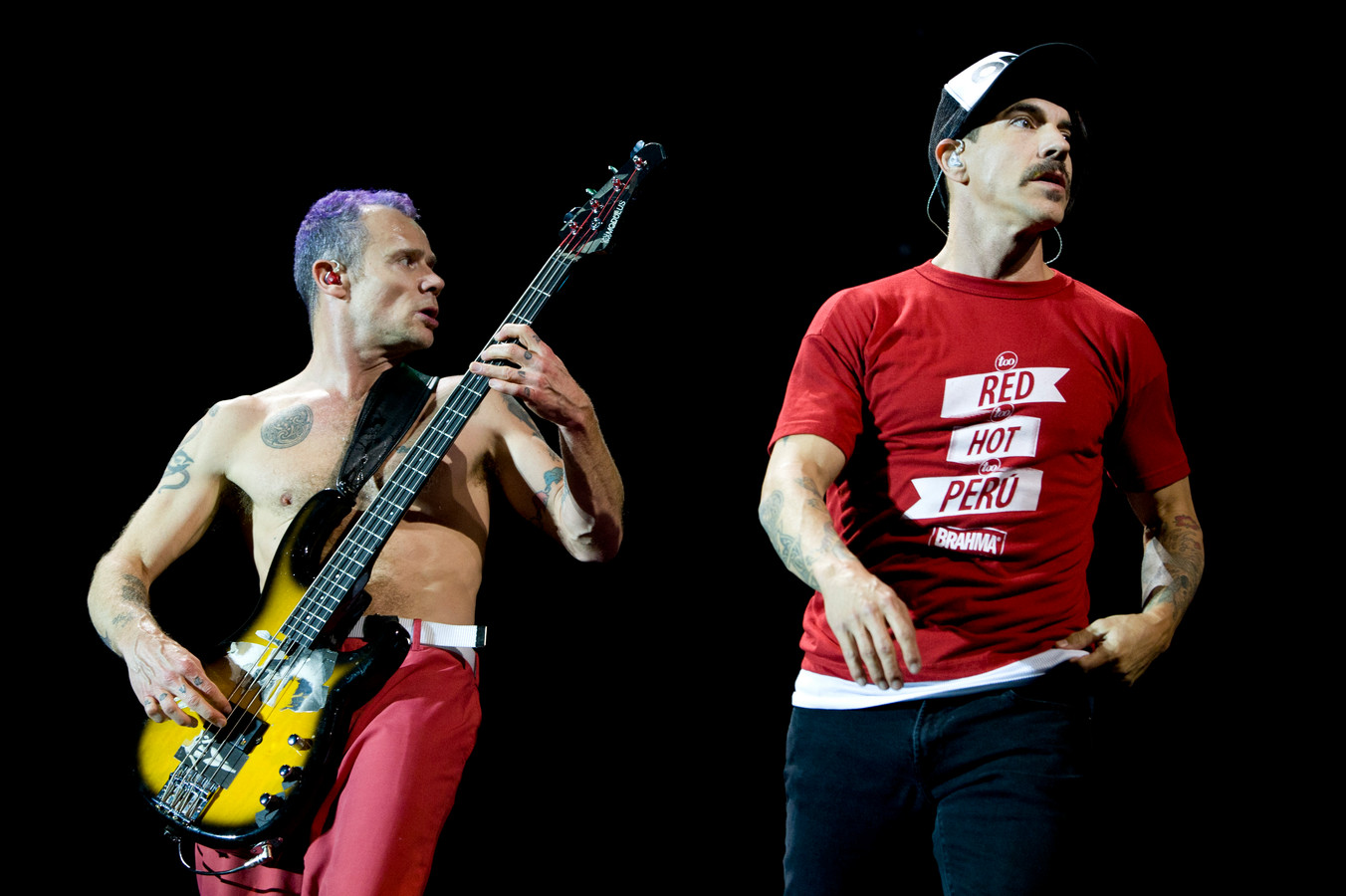 Red hot chili peppers носок