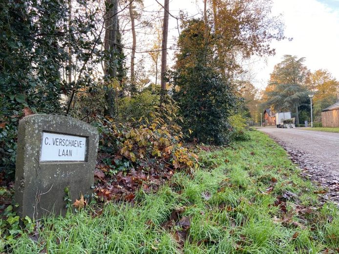De Cyriel Verschaevelaan is een zijstraat van de Manderleylaan aan de Sint-Antoniusbaan.