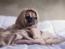 Cette erreur que l'on commet tous en s’habillant pour ne pas avoir froid