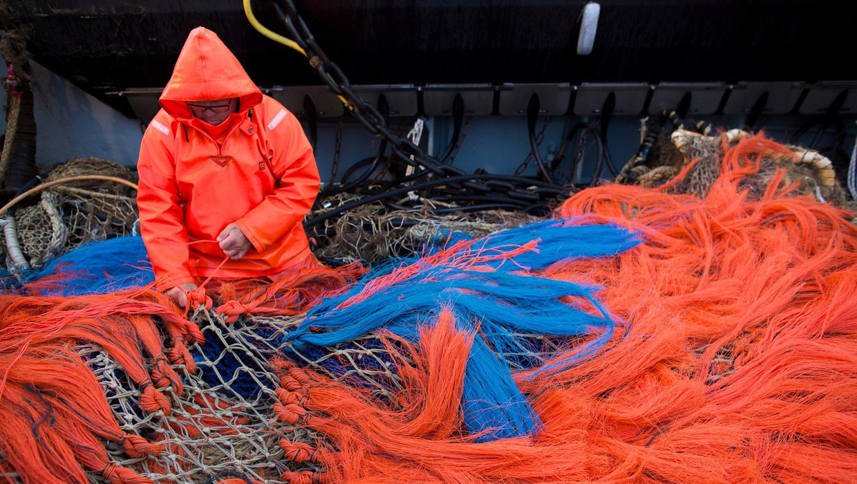 Volgens milieuorganisatie Oceana is bescherming van de Noordzee ook in het belang van de visserij, omdat de visstand erdoor zal stijgen. Beeld HH