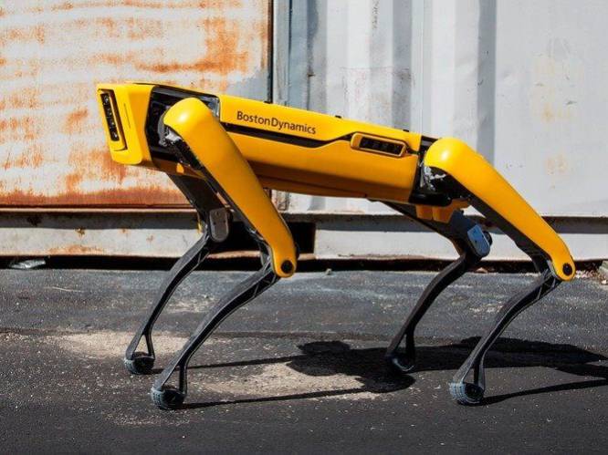 Robothond en internetfenomeen van Boston Dynamics nu te koop voor 75.000 dollar