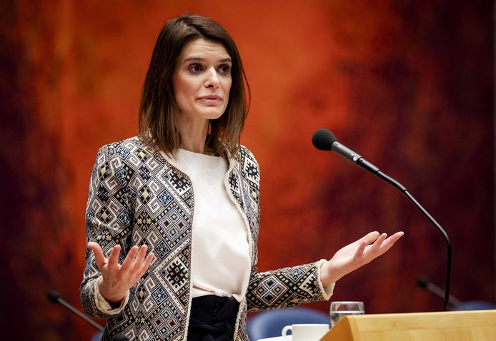 Staatssecretaris Barbara Visser van Defensie.