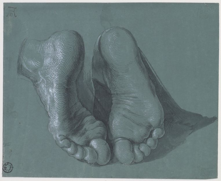 Albrecht Dürer, Studie van twee voeten voor de Apostel Paulus in het Heller-altaarstuk, circa 1508. Museum Boijmans Van Beuningen, Rotterdam. Beeld Museum Boijmans Van Beuningen