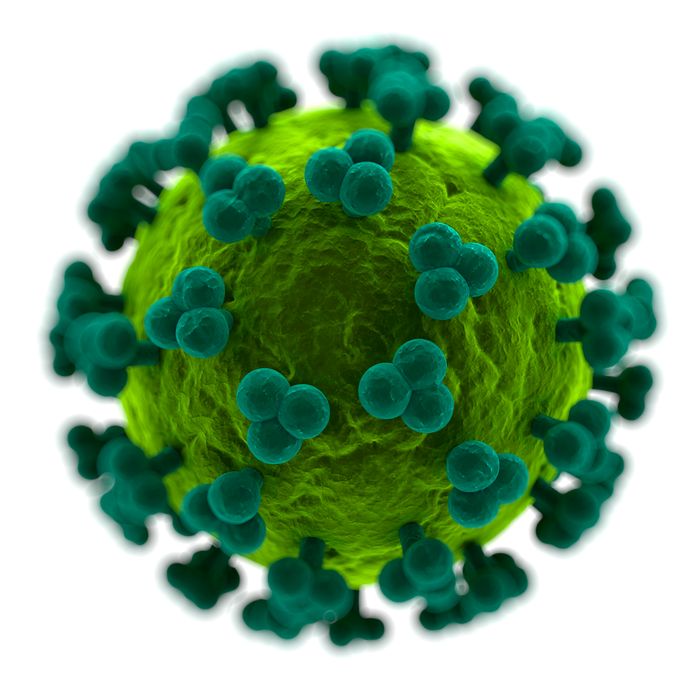 HIV (virus dell’immunodeficienza umana)