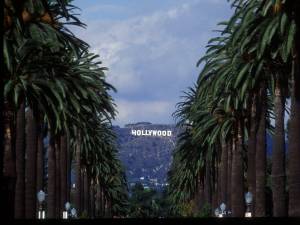 Op de hoogte blijven van het filmnieuws? Schrijf je in