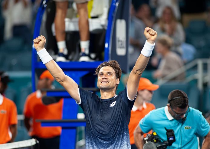 David Ferrer.