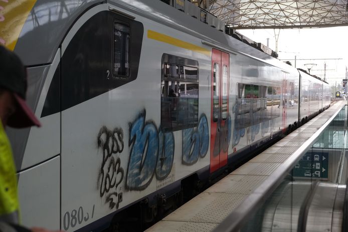 Beeld ter illustratie: een trein in het station van Leuven.