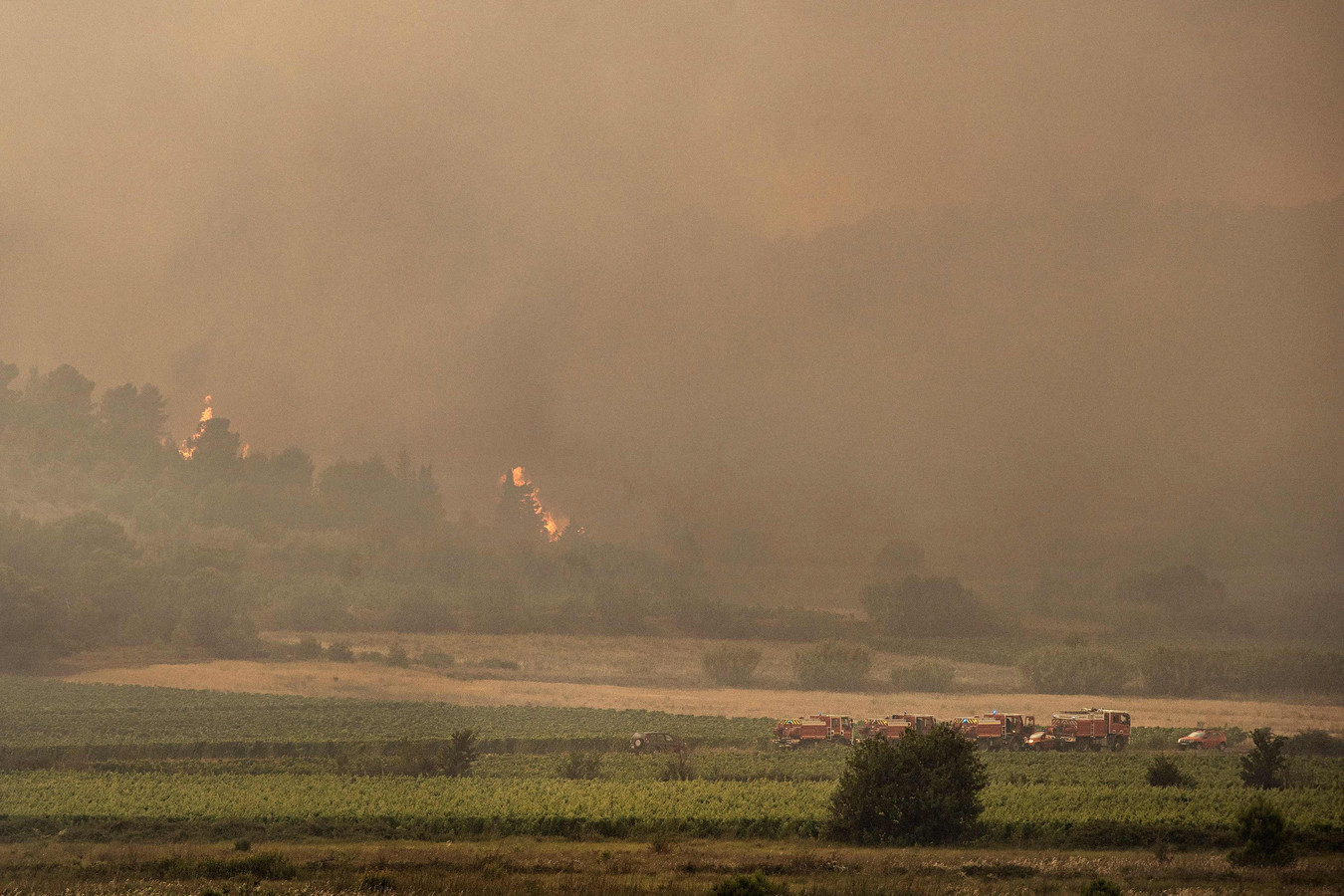 Frankrijk zet 650 brandweerlieden in tegen bosbranden in ...