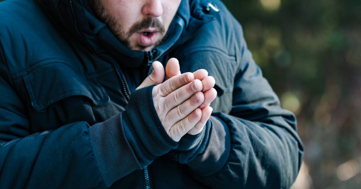 Groenteboer religie Correspondent Van gembergrog tot lisdoddepluis: tips tegen koude vingers | Mijn Gids |  AD.nl