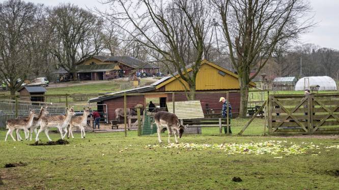 Soms weet je iets zonder dat je weet dat je het weet