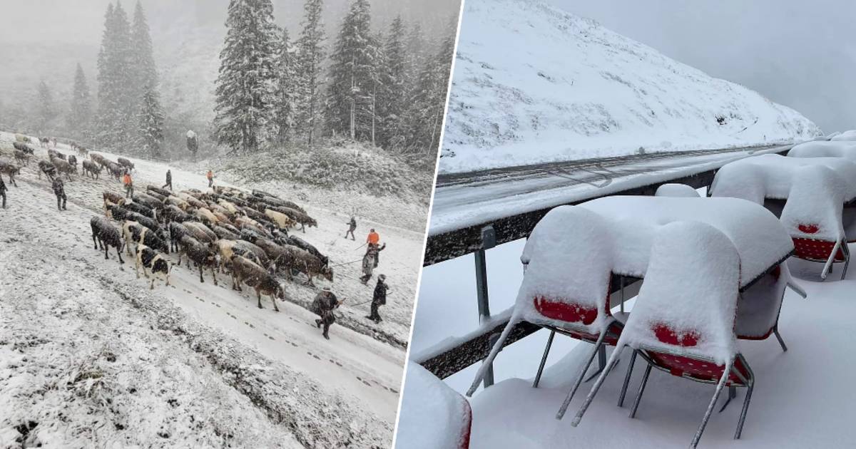 на картинке.  Первый снегопад в Альпах после знойного лета |  Новости погоды