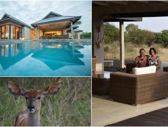 VIDEO: "Antilopen spotten vanop het terras": zo bouwden Peter en Erika hun droomhuis in Zuid-Afrika