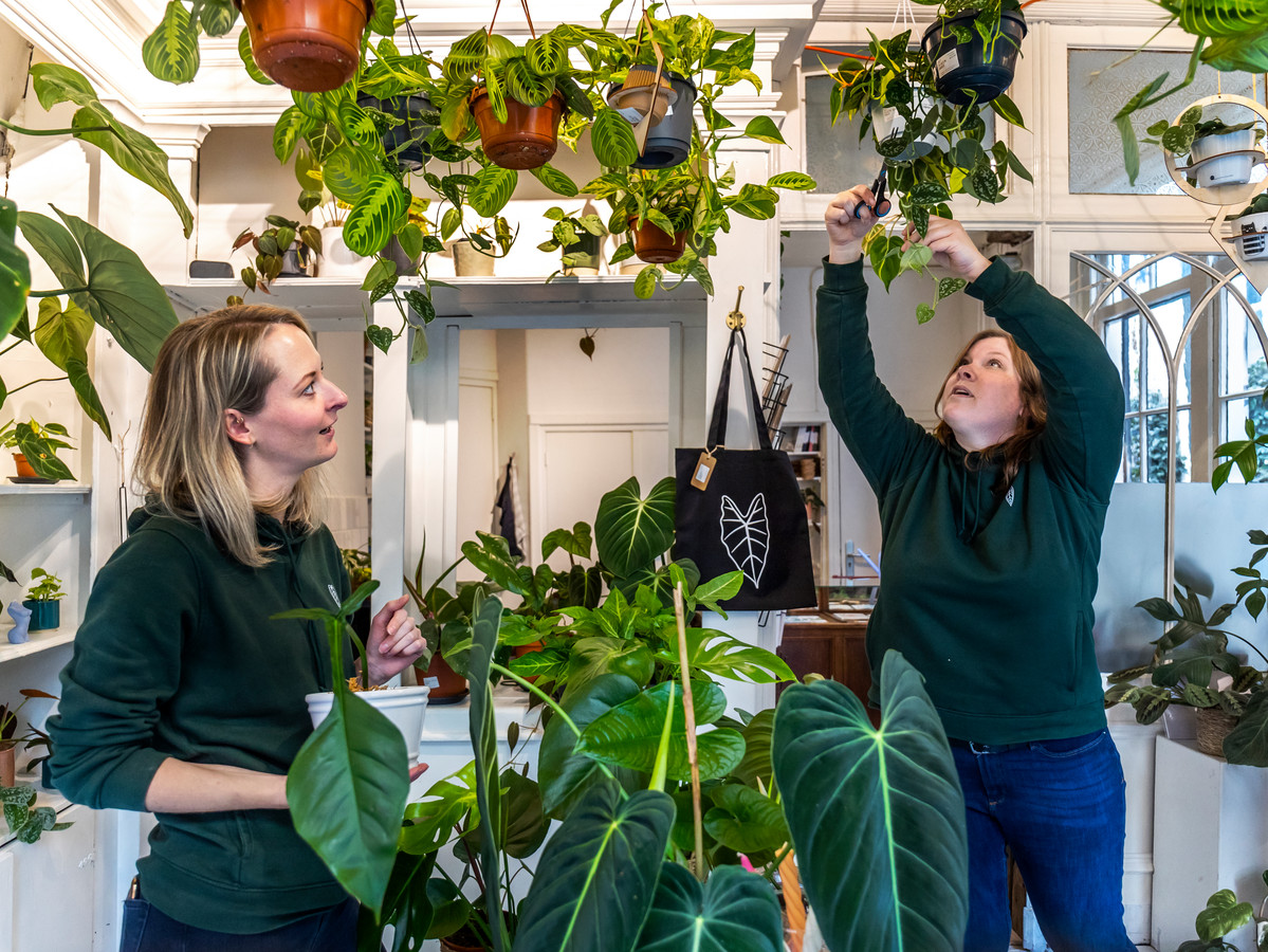 Yvon Sportel (33, links) en Felice van Cuyk (38) zijn eigenaar van Het plantenpandje, een winkel in bijzondere planten aan de 
Zadelstraat.