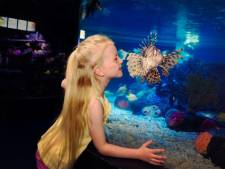Sea Life viert dertigjarig bestaan met app en rondleidingen