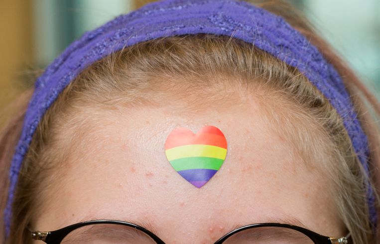 Een leerling draagt een paarse haarband en een regenboogsticker op het voorhoofd.  Beeld Ivo van der Bent