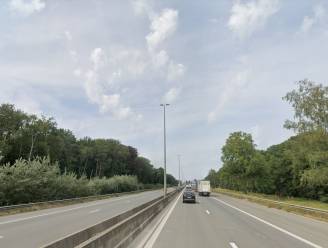 20 minuten vertraging na ongeval op E313 richting Antwerpen ter hoogte van Herentals-Industrie