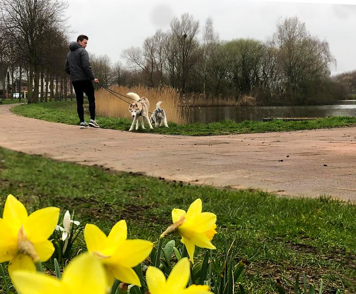 De Slangenbeekvijver.