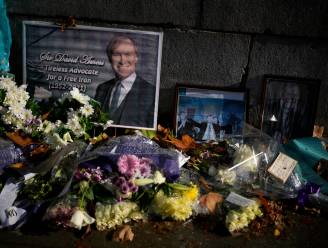 Man die Brits parlementslid neerstak beschuldigd van moord en terrorisme