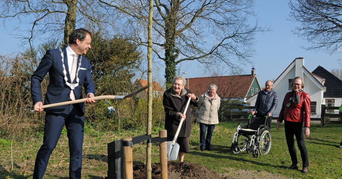 100-jarige Willy plant een magnolia als herinnering aan buurman Mol op Sirjansland