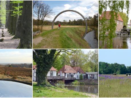Dit zijn de acht prachtige wandelroutes door Twente en de Achterhoek van Truus Wijnen