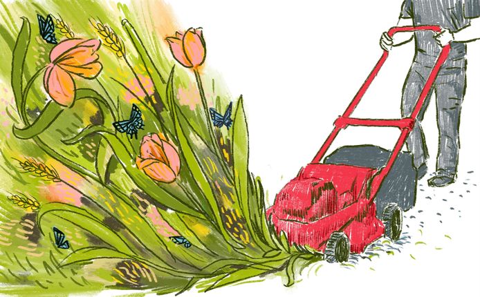 Illustratie tiny forest