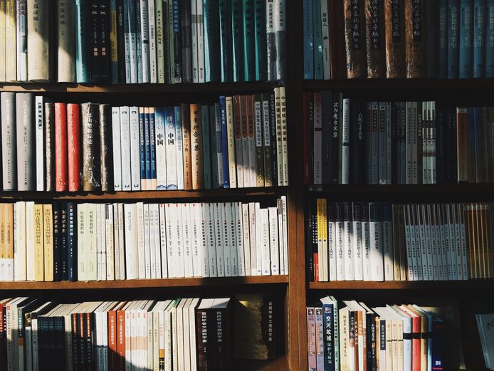 Een dief die het puur en alleen op reisgidsen heeft gemunt. Sta-pel-gek worden ze ervan bij vestigingen van boekhandel Bruna in Hoogvliet en Hellevoetsluis.
