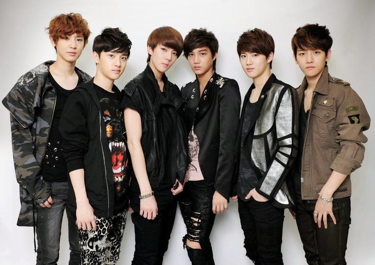 EXO Beeld  