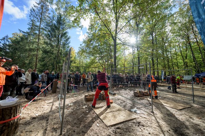 NK Bosarbeid tijdens eerdere editie van de Landgoed Twente Fair.